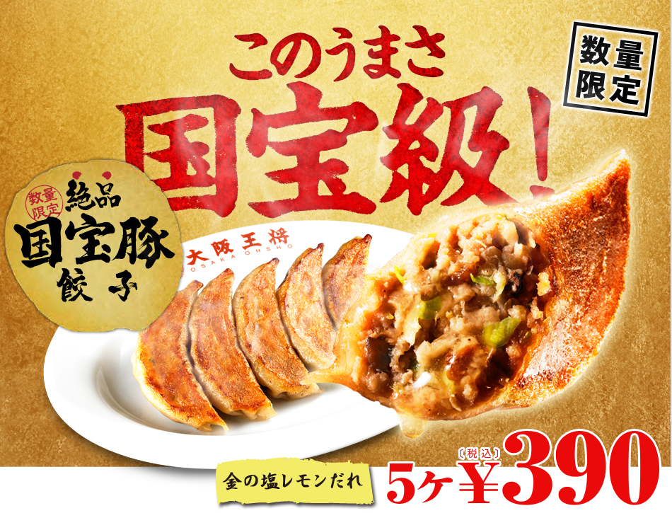 「絶品国宝豚餃子」新発売!!